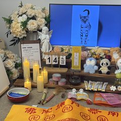 宠物家长客户见证