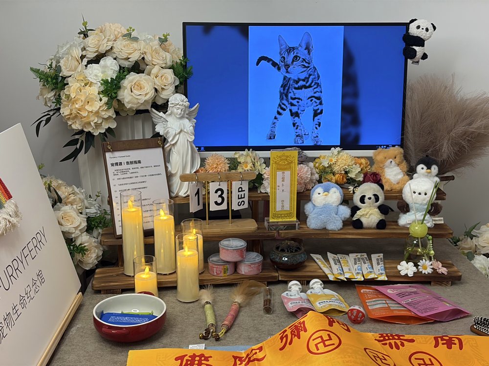 宠物骨灰交付与纪念品